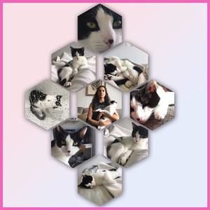 Meet your Posher, Priscilla